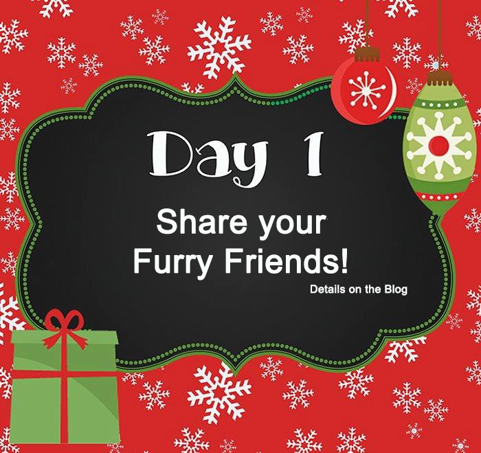 EOB Day 1 – Show me your Furry Friends!