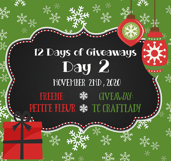 12 Days of Givewawys – Day 2 – 2020